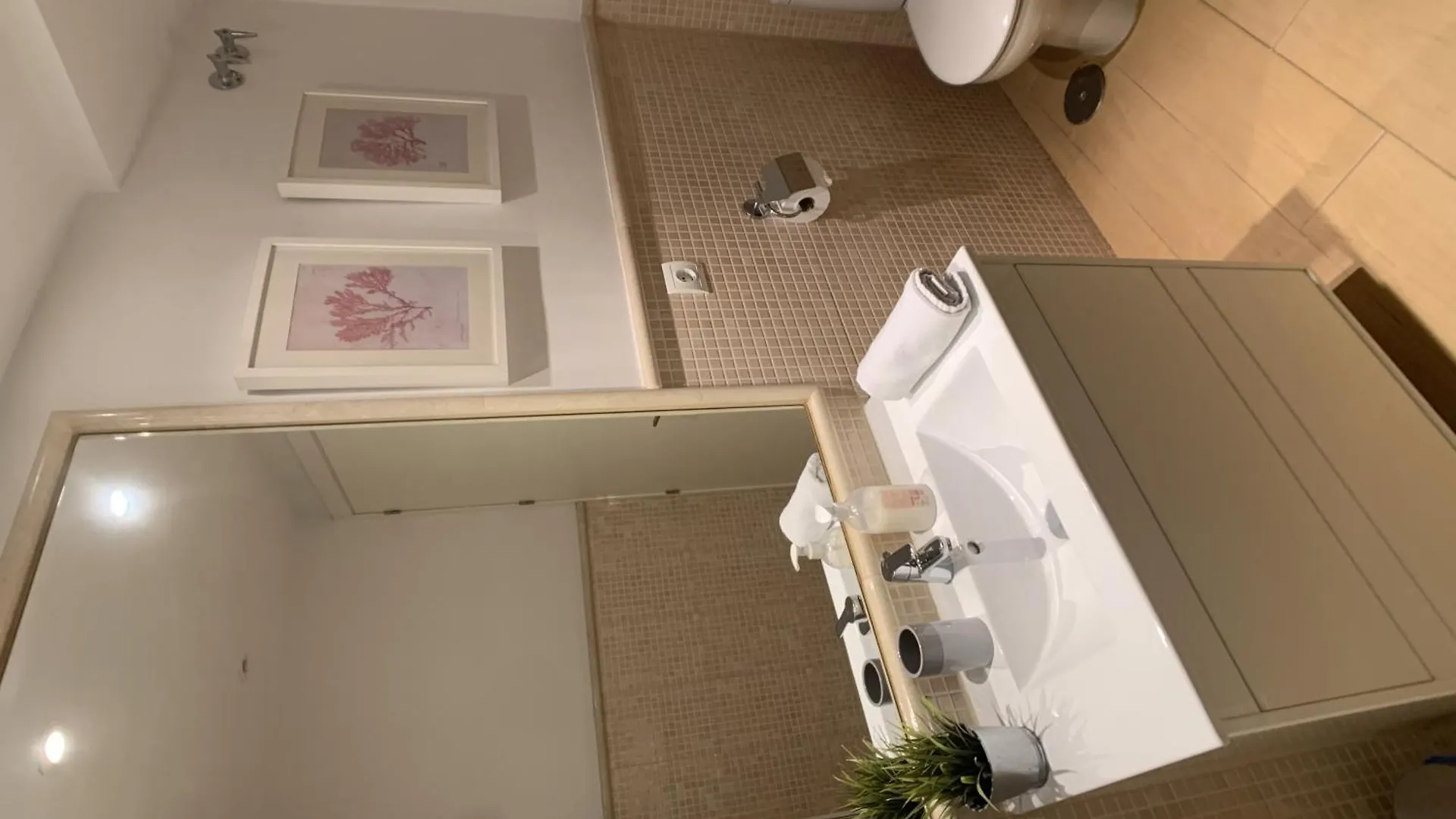 Centro Historico Catedral Apartment Malaga